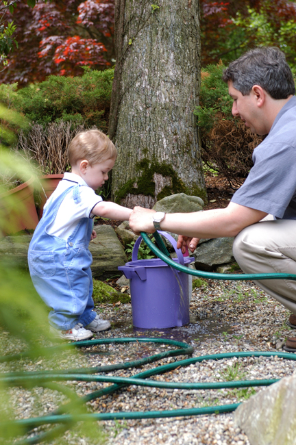 planting2