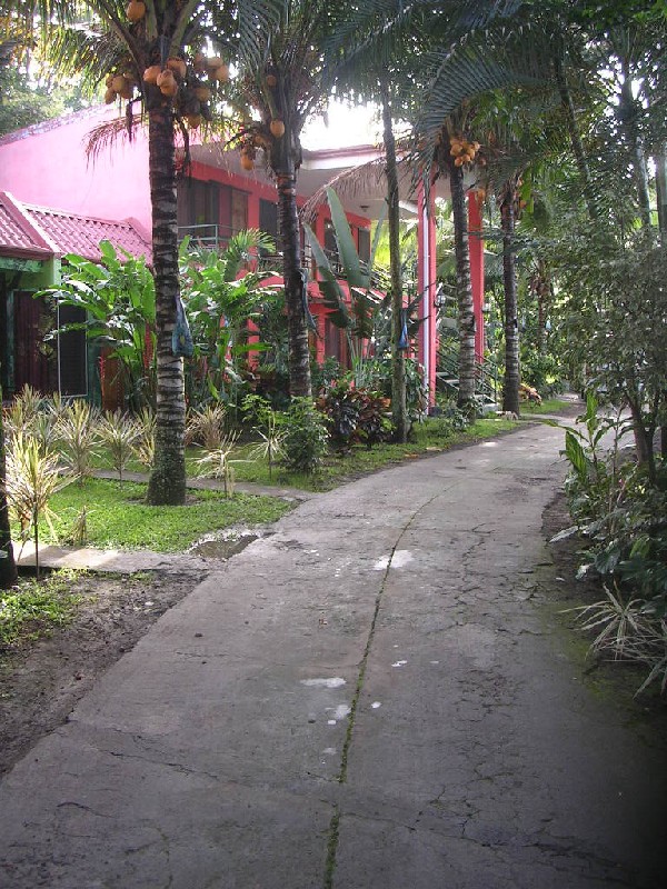 Original image