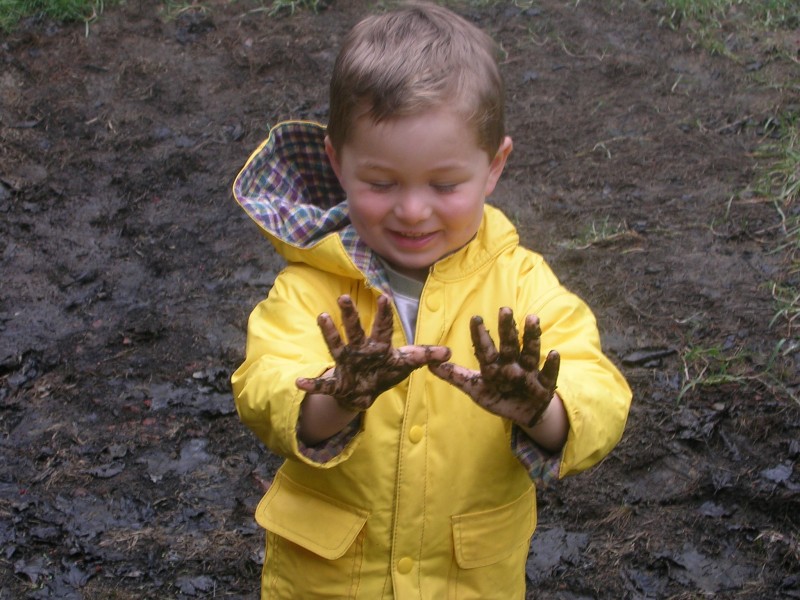 Original image