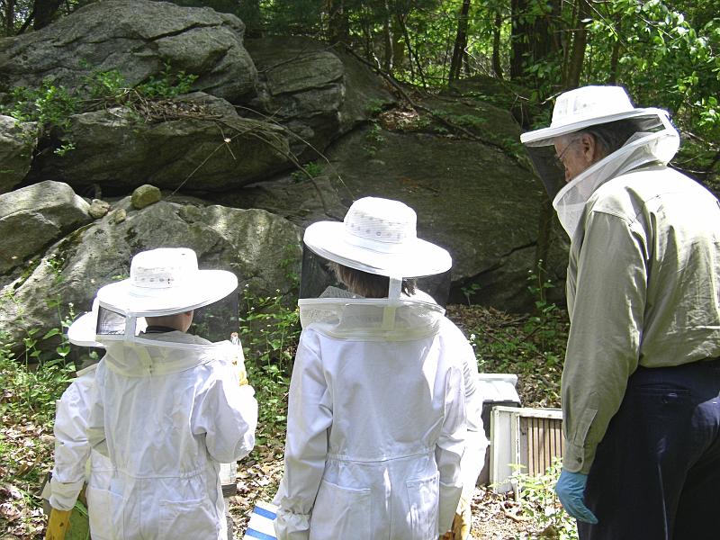 beekeeping5.JPG - Beekeeping 5