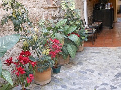 DSCN0126