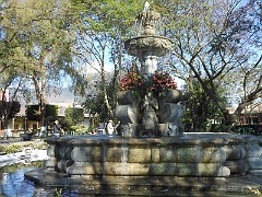 DSCN0154