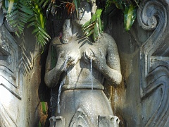 DSCN0155