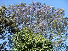 DSCN0163