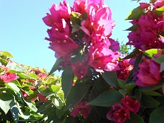 DSCN0164