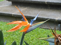 DSCN0206