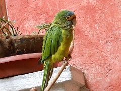 DSCN0224