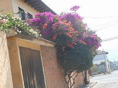DSCN0232