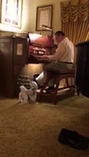 IMG 0769