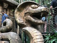 IMG 2548  D-Land