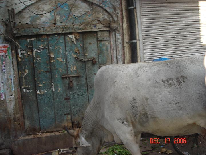 Original image