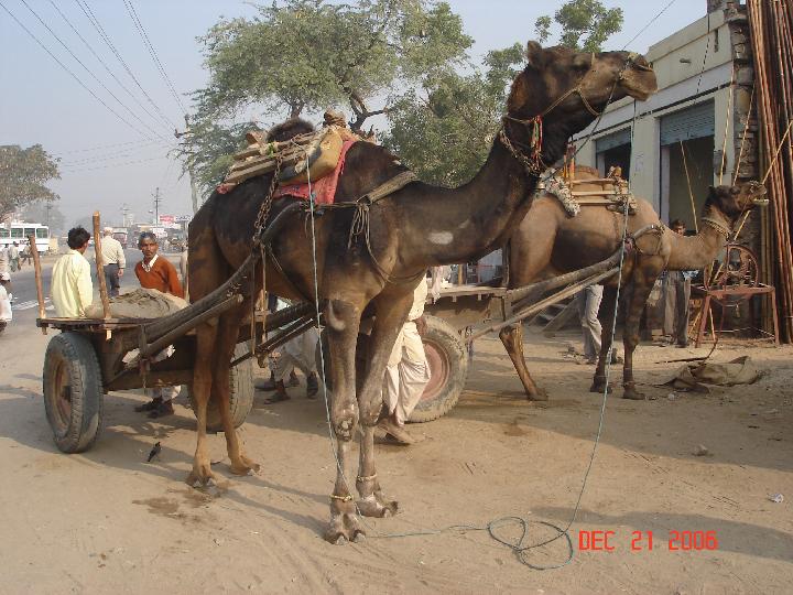 Original image